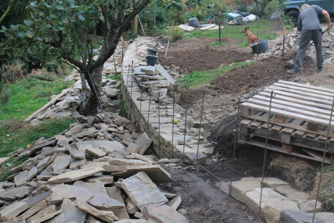 Curving dry stone terrace in an orchard